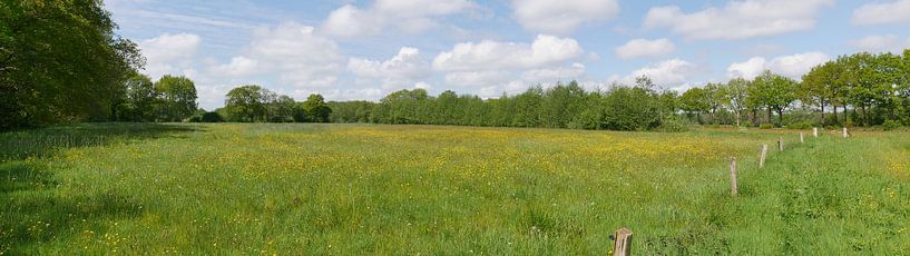 Hooiland in het beekdal Het Oude Diep. van Wim vd Neut