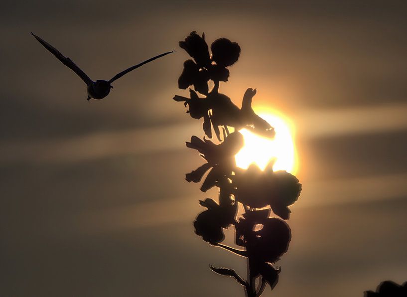 Vertrek naar de zonsondergang van Edgar Schermaul