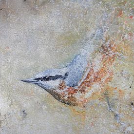 Nuthatch by Peter van Loenhout