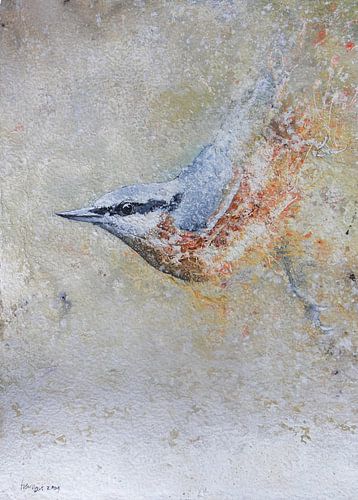 Nuthatch by Peter van Loenhout