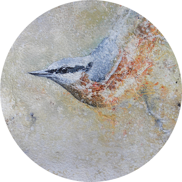 Boomklever van Peter van Loenhout