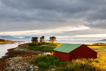 Norwegische Sommerszene von Karla Leeftink