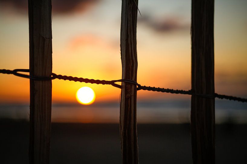 Sunset touchdown by Monique van Middelkoop