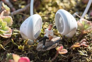 listen to the music