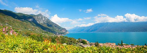 Uitzicht op het Gardameer boven Bogliaco