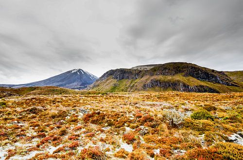 Mount Ngarahoe | Tongariro National Park | New Zealand by RB-Photography