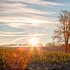 Landschap bij zonsopkomst van Carola Schellekens