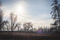 Winter Zwolle Netherlands