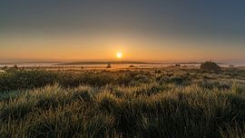 Sunrise in the High Fens by Koos SOHNS   (KoSoZu-Photography)