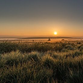 Sonnenaufgang im Hohen Venn von Koos SOHNS   (KoSoZu-Photography)