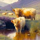 Een met de natuur Schots Hoogland vee van Felix Brönnimann thumbnail