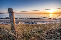The beach