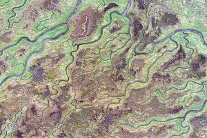 La terre noyée de Saeftinghe