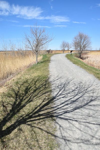 The bike path in spring by Claude Laprise