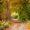 De herfst van het leven van Christa Thieme-Krus