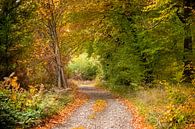 The autumn of life by Christa Krus thumbnail