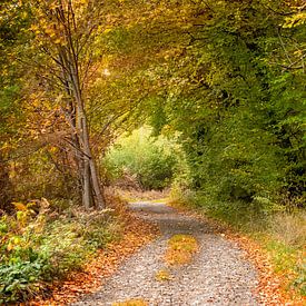 De herfst van het leven van Christa Thieme-Krus