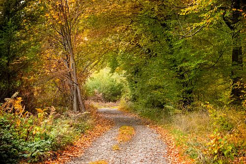 The autumn of life