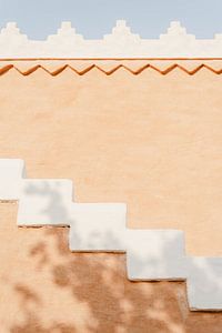 Mur d'abricots en Arabie Saoudite