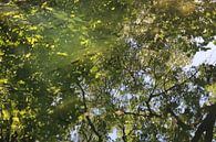 Reflections van Naomi Kroon thumbnail
