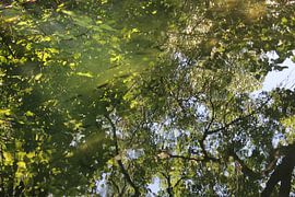 Reflections von Naomi Kroon