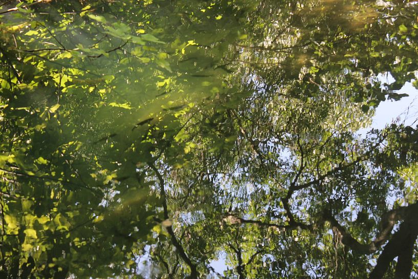 Reflections van Naomi Kroon