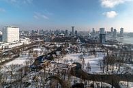 Winter in Rotterdam by AdV Photography thumbnail