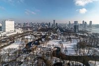Winter in Rotterdam