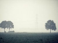 Boerenland