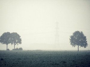 Boerenland