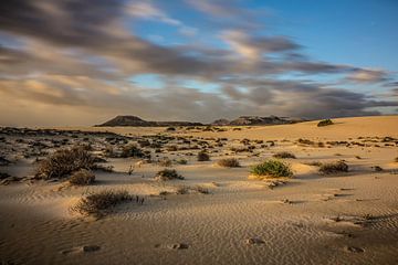 Duinlandschap in Fuerte Ventura van Marcel van Berkel