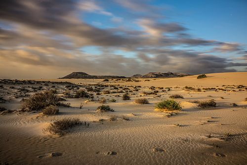 Duinlandschap in Fuerte Ventura van Marcel van Berkel