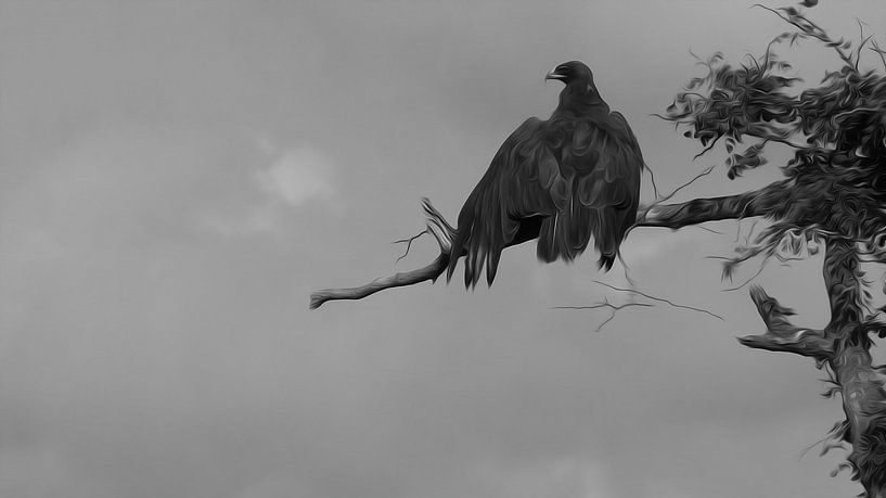 Zwarte adelaar (black eagle) van Loraine van der Sande