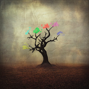 Baum der Farben