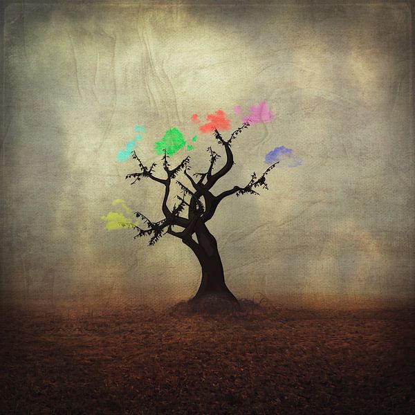 tree of colours by Dirk Wüstenhagen