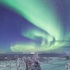 Noorderlicht boven Fins Lapland van Luc Buthker
