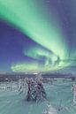 Aurora Borealis over Fins Lapland von Luc Buthker Miniaturansicht