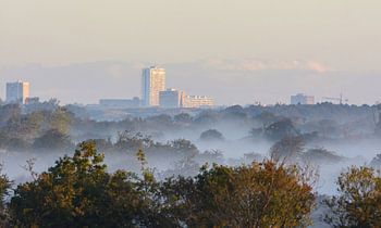 mistige zonsopkomst Amsterdamse Waterleidingduinen