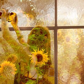 You are Somewhere by True Color Stories