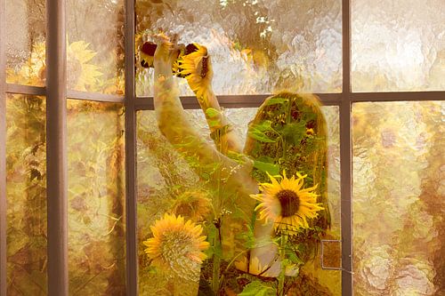 You are Somewhere by True Color Stories