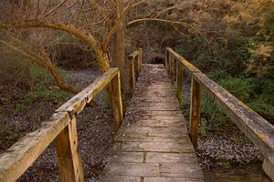Le pont d'hiver
