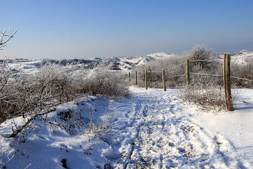 Winterduinen...