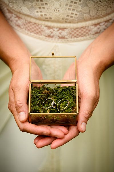Weddingrings by Lindsey Post