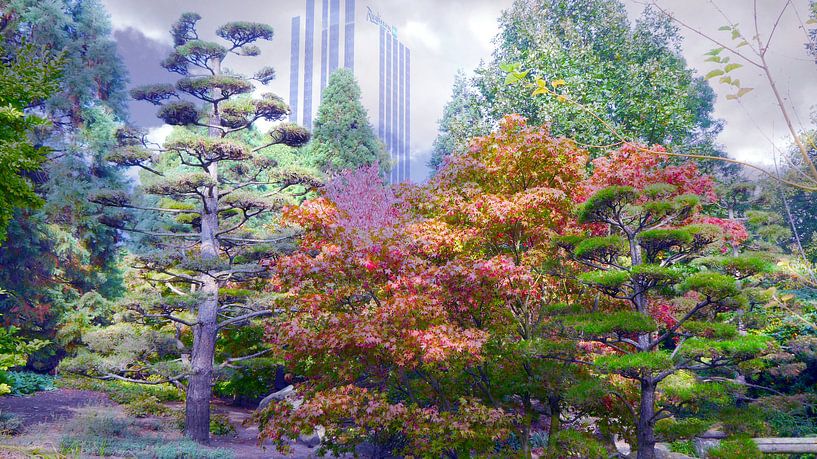 Herbstnebel von Peter Norden