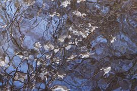 Luftspiegelung im Wasser von Lucia Kerstens