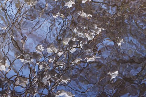 Aerial reflection in the water