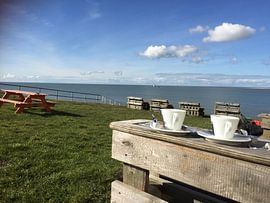 Op een zonnige dag in februari  by Margriet's fotografie
