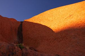 Uluru sunrise