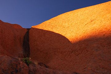 Sonnenaufgang am Uluru von Ronne Vinkx