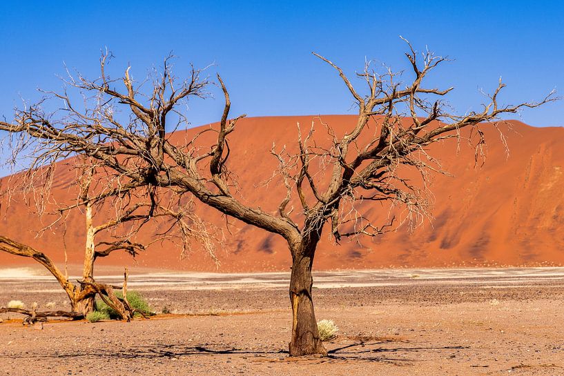 Dodevlei_4, Sesriem, Namibia by antonvanbeek.nl